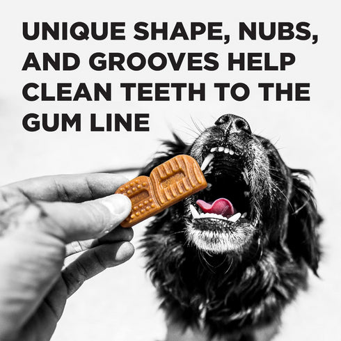 Bixbi Brushers Dog Dental Chews 27.76oz 15ct